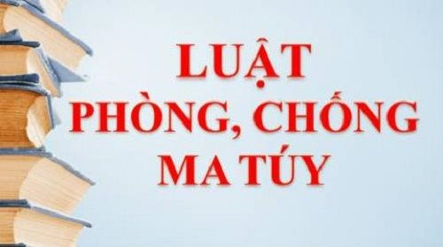 Thi tìm hiểu Luật Phòng chống ma túy