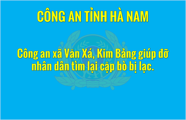 Công an xã Văn Xá, Kim Bảng giúp đỡ nhân dân tìm lại cặp bò bị lạc.