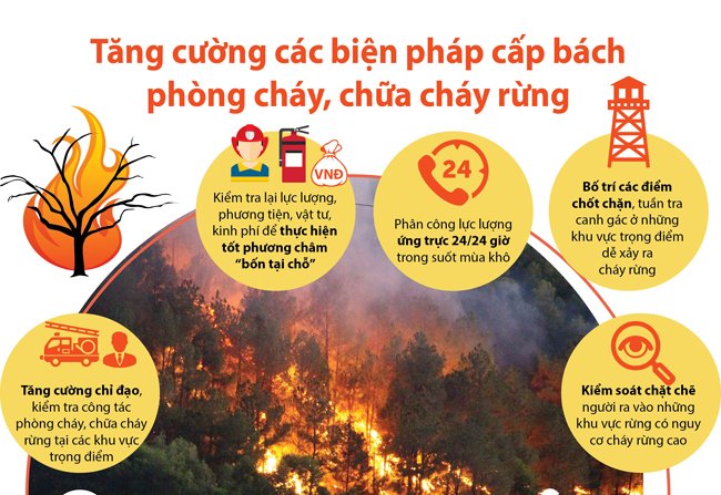 Tăng cường các biện pháp cấp bách phòng cháy, chữa cháy rừng